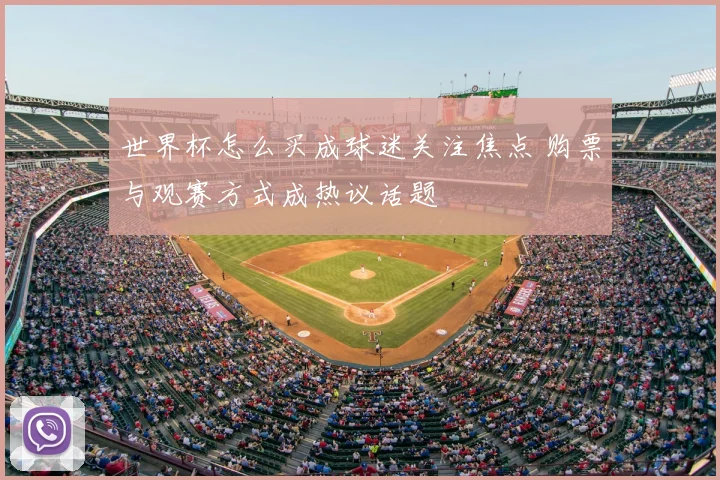 世界杯怎么买成球迷关注焦点 购票与观赛方式成热议话题