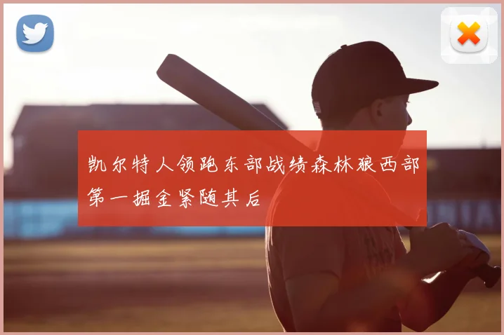 凯尔特人领跑东部战绩森林狼西部第一掘金紧随其后